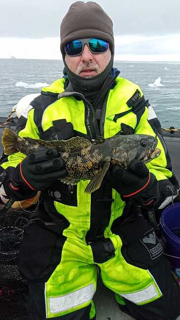 Антарктида - риби - Природонаучен музей Пловдив - проект