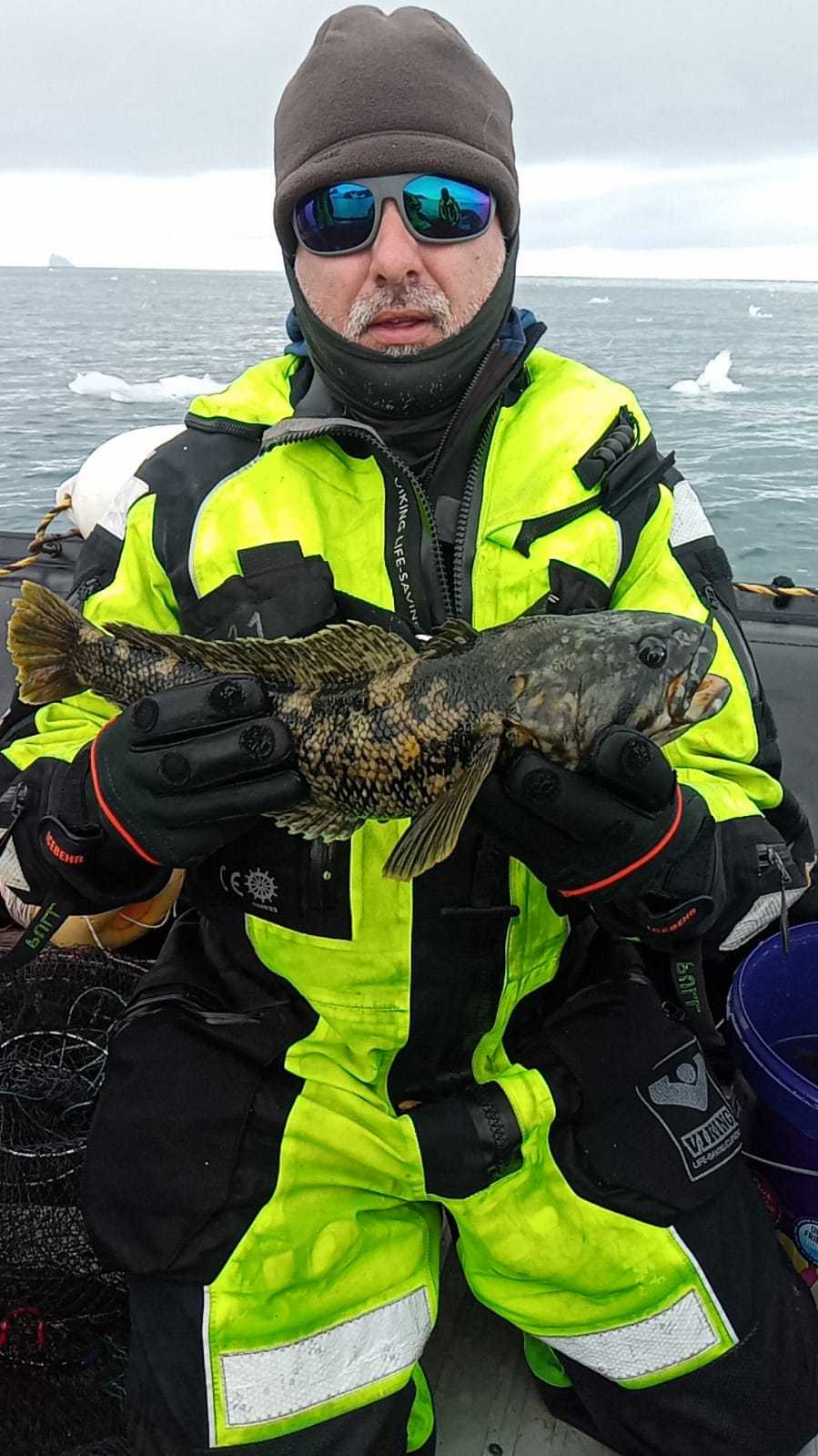 Antarctica - fish - Natural History Museum Plovdiv - project