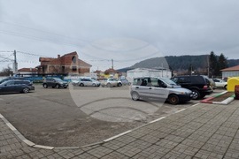 Село Широки дол - избори