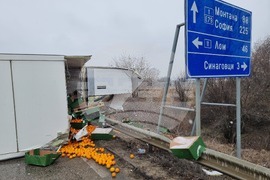 Дунавци – международен път Е-79 – катастрофа