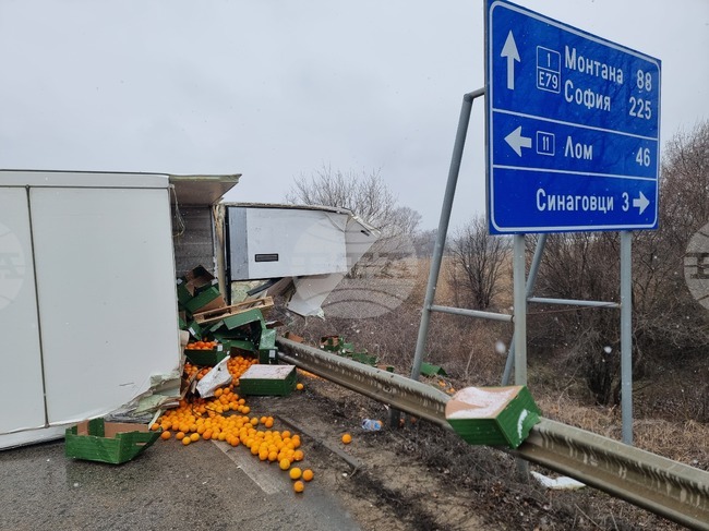 Дунавци - международен път Е-79 - катастрофа