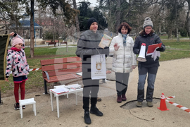 Плевен - Васил Левски - състезание