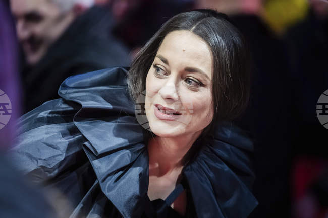 Френските актьори Марион Котияр и Гийом Кане обявиха, че се разделят