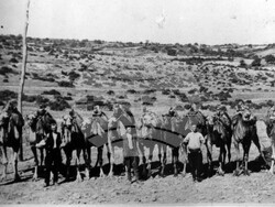 Тополовград - камиларство