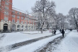 Плевен - зимна обстановка - сняг