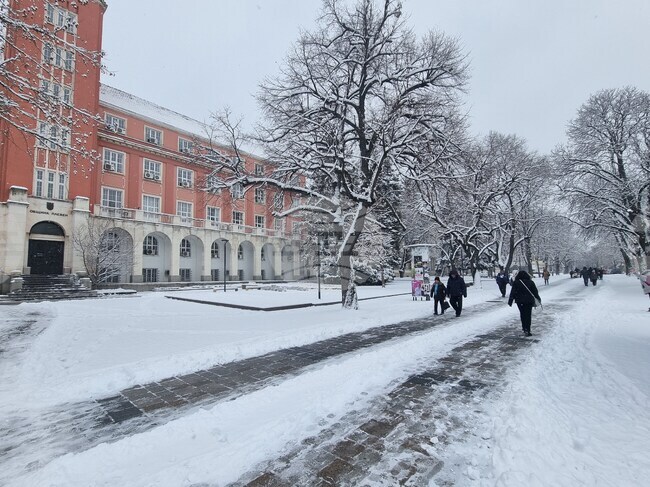 Плевен - зимна обстановка - сняг