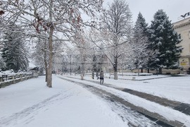 Плевен - зимна обстановка - сняг