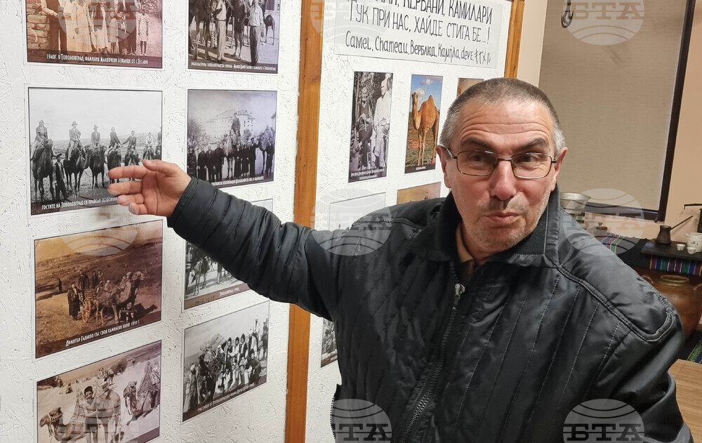 Тополовград - камиларство - изложба