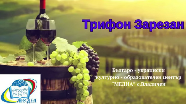 Преподаватели и ученици от Българо-украинския център „МЕДИА“ във Владичен зарязаха лозето за Трифон Зарезан