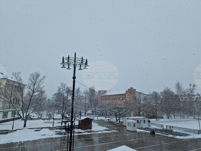 Пътищата в Самоковско се почистват от снега, няма затворени улици
