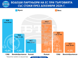Излишъкът на ЕС при международната търговия със стоки нараства през декември 2024 г., а на еврозоната се понижава, по данни на Евростат
