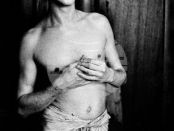 Дейвид Боуи, Чикаго 1980