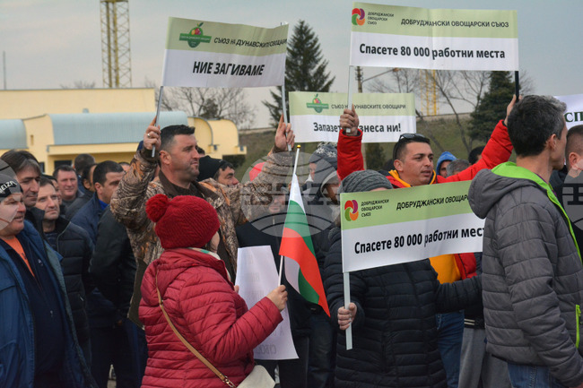 Русе - протест 