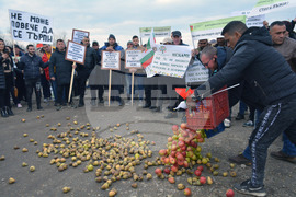 Русе - протест