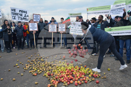 Русе - протест