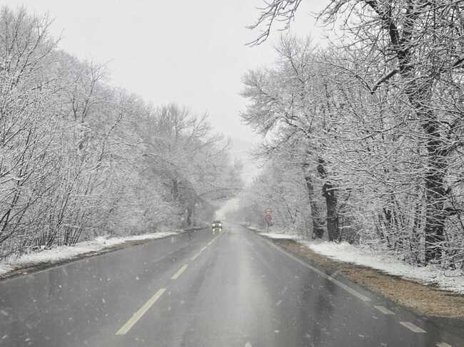 Пътищата в област Добрич са проходими при зимни условия