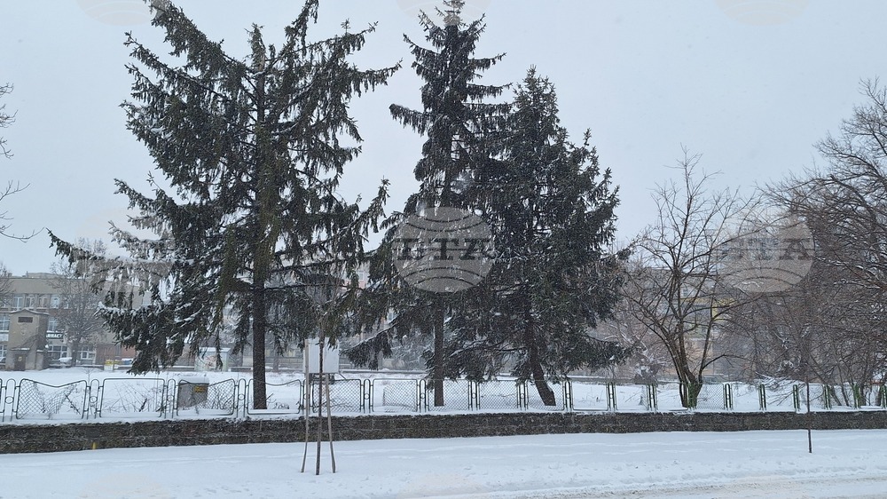 Всички училища в Тутракан ще бъдат затворени днес и денят ще бъде обявен за неучебен