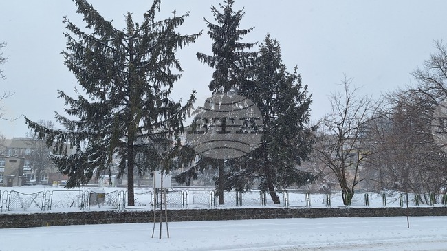 Всички училища в Тутракан ще бъдат затворени днес и денят ще бъде обявен за неучебен