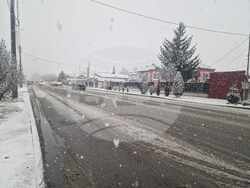 пътна обстановка - област Пазарджик - зима