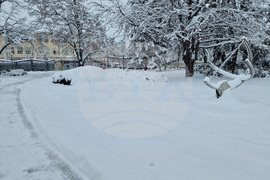 Търговище - зимна обстановка