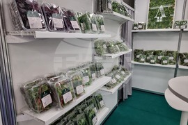 Интер експо център - три международни изложения - откриване