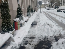 Снимка: Община Шумен