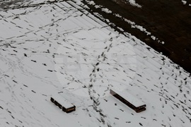 Столица - зима - ежедневие