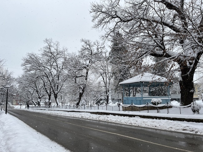 Снежната покривка в Свищов достига 27 см., съобщиха от хидрометеорологичната станция в града