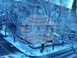 Снимка: Община Стара Загора