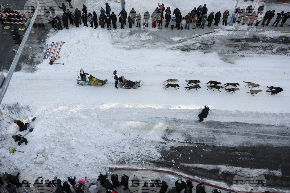 Iditarod Sled Dog Race