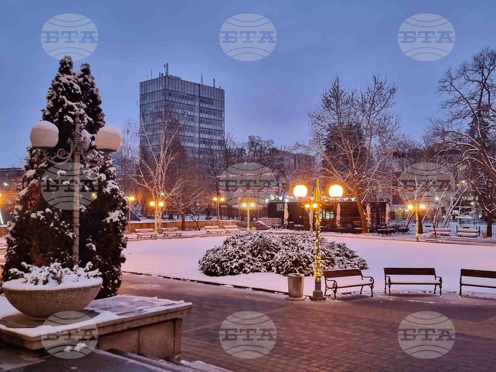 Перник - изглед