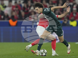 Portugal Soccer Champions League