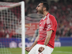 Portugal Soccer Champions League