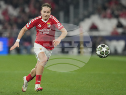 Portugal Soccer Champions League