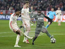 Germany Soccer Champions League