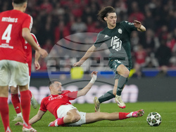 Portugal Soccer Champions League