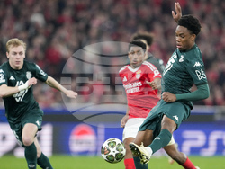 Portugal Soccer Champions League