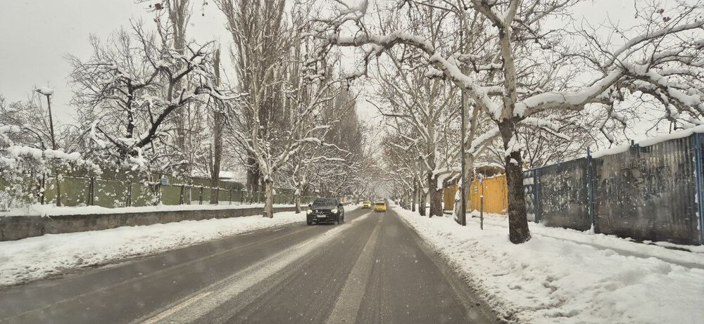 Всички пътища в област Русе са проходими, транспортът се движи по график