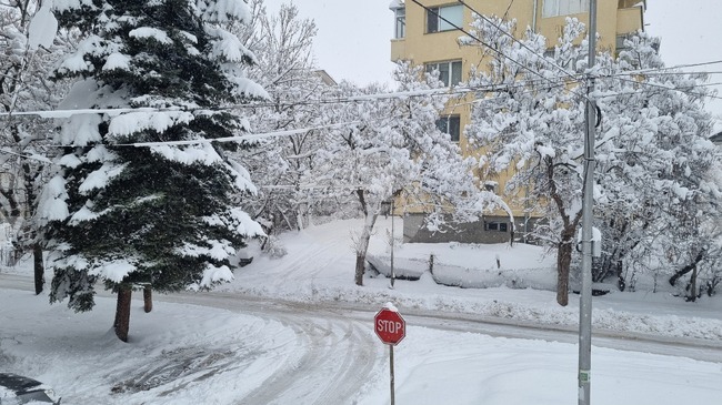 Пътищата в област Търговище са проходими при зимни условия