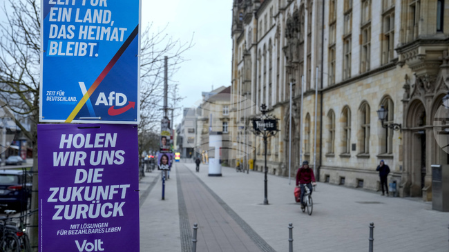 "Алтернатива за Германия" се стреми към властта в провинция Сансония-Анхалт