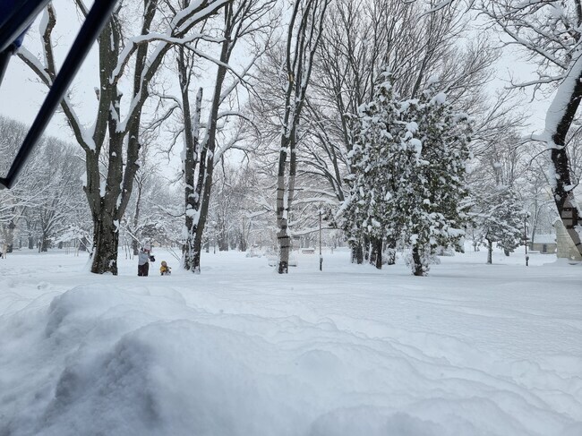 Пътищата в област Русе са проходими при зимни условия