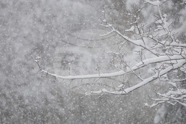 Бургас - снеговалеж