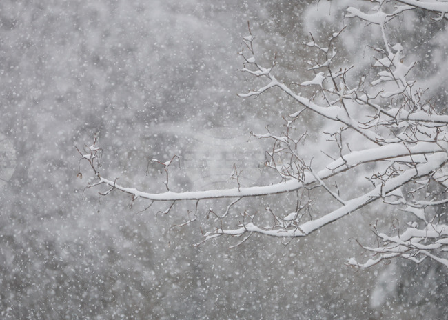Спокойна при зимни условия е обстановката в община Малко Търново, каза кметът Илиян Янчев