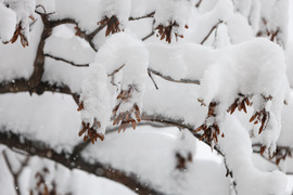 Бургас - снеговалеж