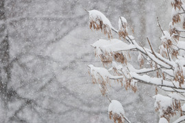 Бургас - снеговалеж