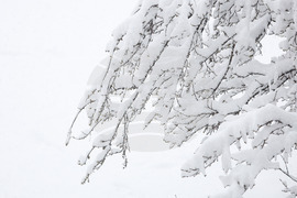 Бургас - снеговалеж