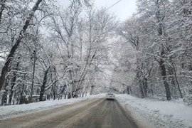 Плевен - парк "Кайлъка" - зима