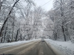 Плевен - парк "Кайлъка" - зима