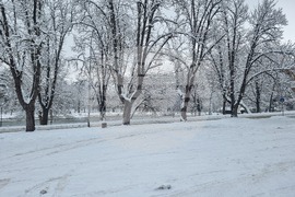 Плевен - парк "Кайлъка" - зима