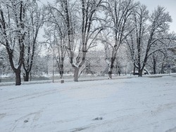 Плевен - парк "Кайлъка" - зима